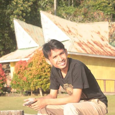 stepanus purba