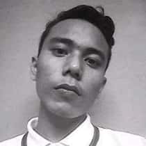 insan aidil majid
