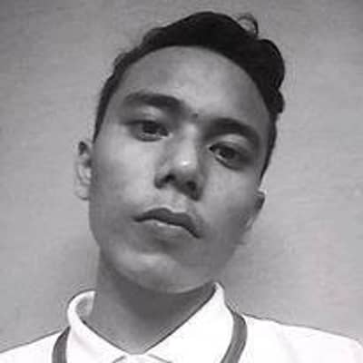 insan aidil majid