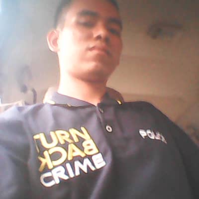 dedi ansari