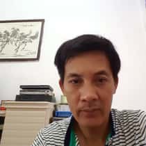 Stevely
