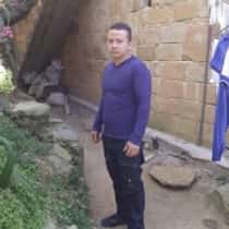 alexander