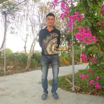 Nguyendong