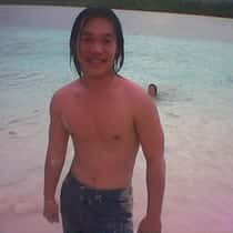 david