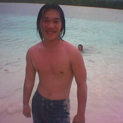 david