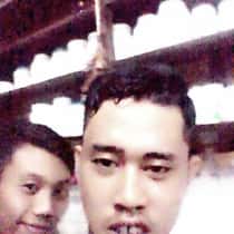 alvin