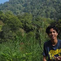 Mardiansyah