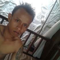 ari makalele