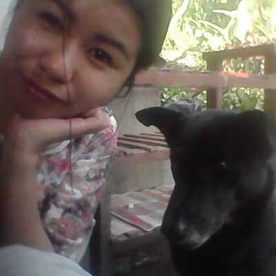 ping