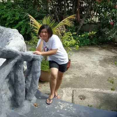 mayet