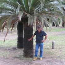 briam