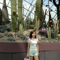 Khom