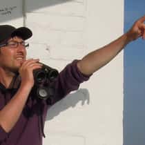 Seabirder