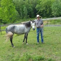Montanahorseman 