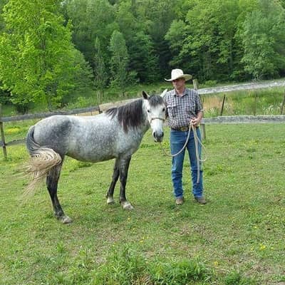 Montanahorseman 