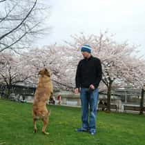 Jake