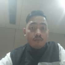 sugi