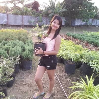 Sincerety_jane