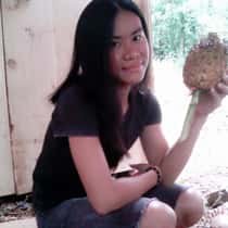 rhina
