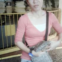 Heshey