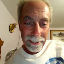 Bearthree 