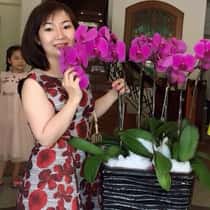 Thanh Nan