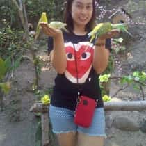 Vel