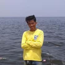 Dnomyar serrot