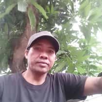harun