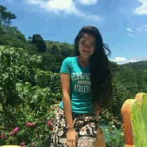 Ms Yn