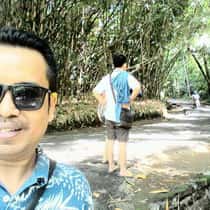 Gusti