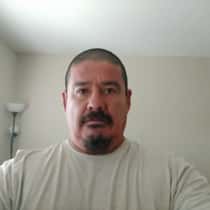 Teelito