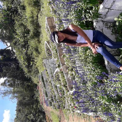 ninia
