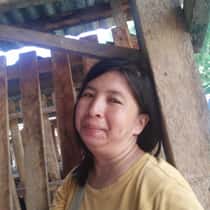 Chenelie