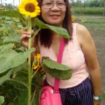 Nilde Paller