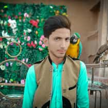 Umar Noor