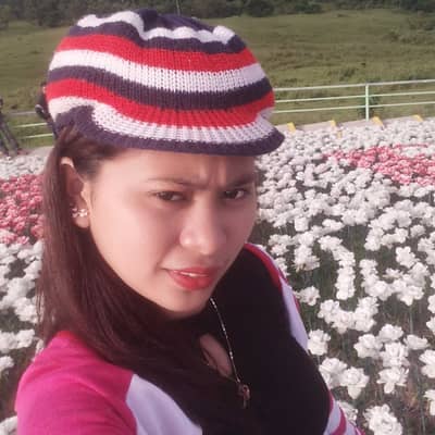 Nyl bor
