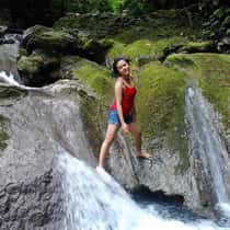Aprilrose