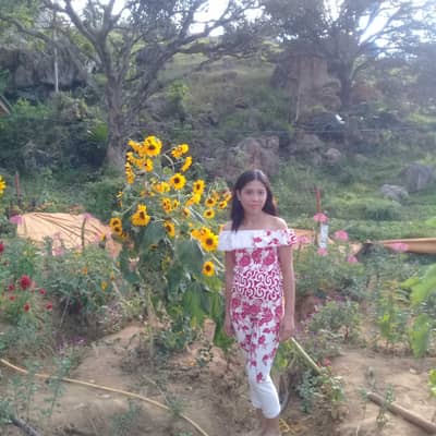 Rose olivar