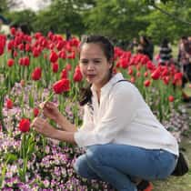 Amie