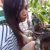 Arlene