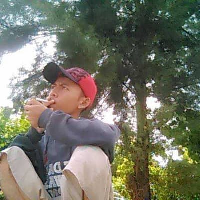 Ryan
