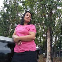 Nimfa