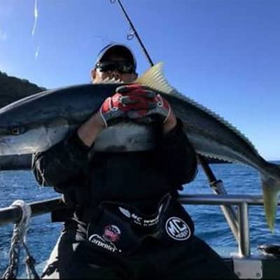 Hinomiya Gao