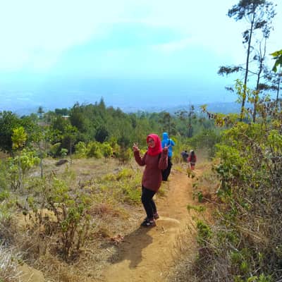 Friska