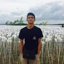 prince_alvin