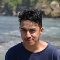 bimo