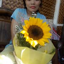 Norsitta