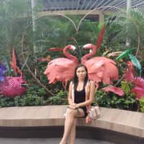 Nieng