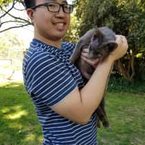 Thaiwin